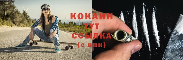 соль курить ск Богородицк