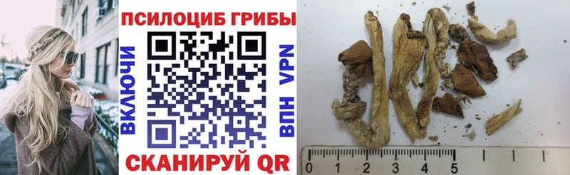 мориарти состав mega маркетплейс Очёр цены Галлюциногенные грибы Magic Shrooms